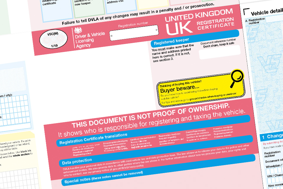 My parrot destroyed my vehicle registration certificate among most unusual reasons shared when getting a replacement