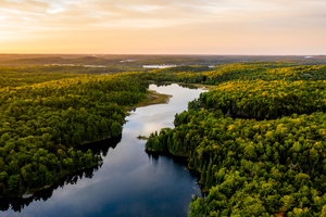 Sunrise on a lake surrounded by trees