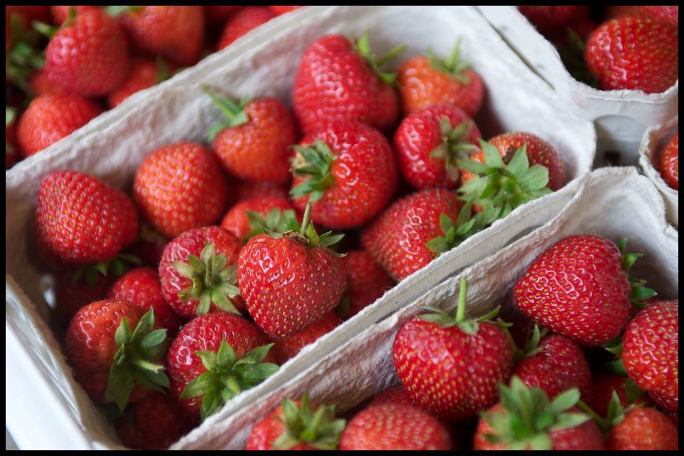 Project launched to tackle greenwashing in food and drink sectors