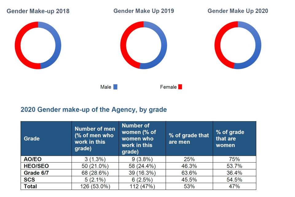 Gender Make-up from 2018 to 2020, also displaying the Gender make-up of the agency by grade