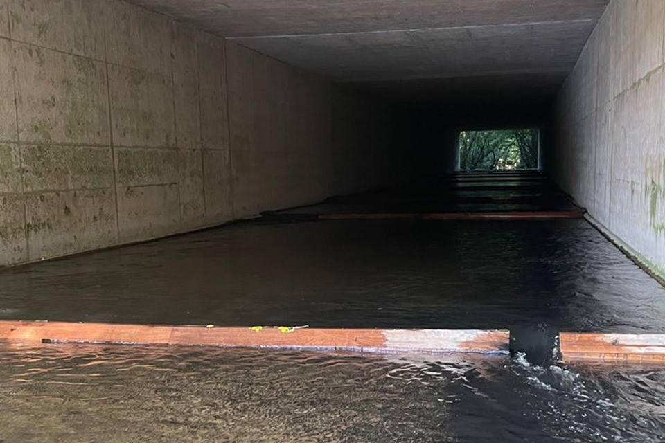 National Highways’ funding stream helps fish crossing under the A38 in Devon