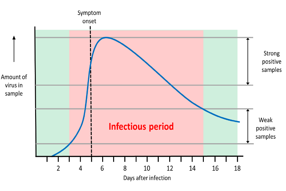 Amount of virus in samples taken during SARS-CoV-2 infection. 