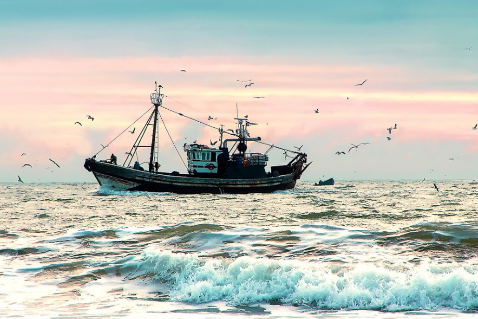 Additional quota for capped licence vessels remains open