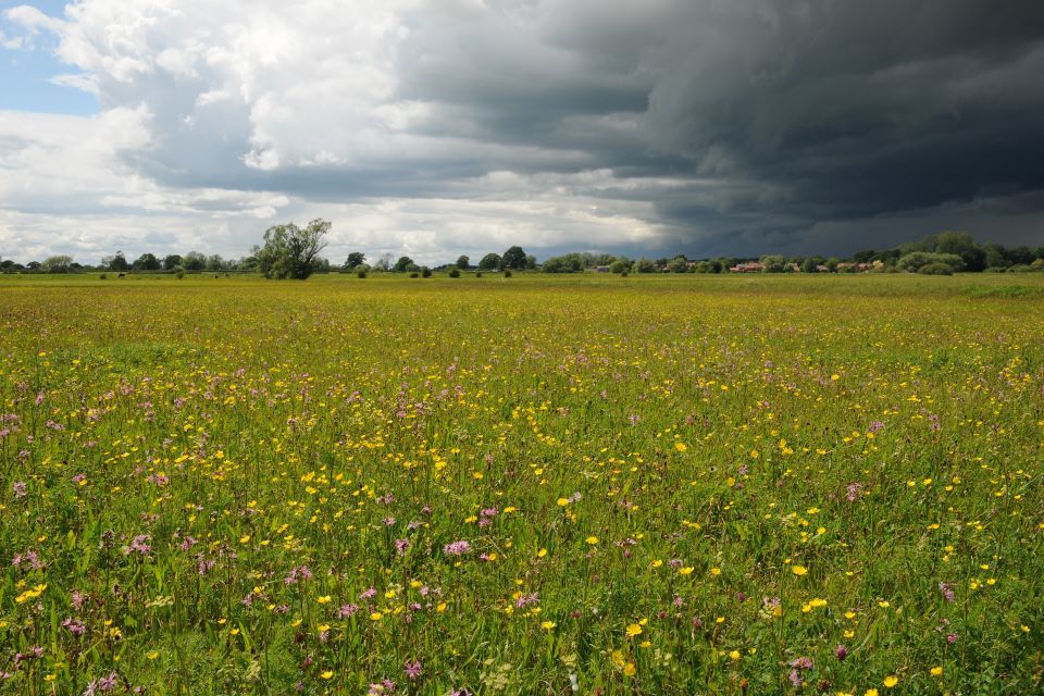 New report: regulation helping protect against climate change