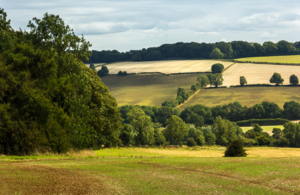 Countryside