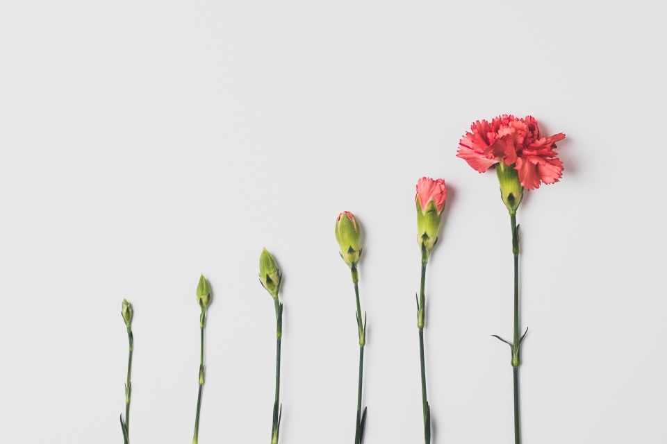 Introducing the Government Data Maturity Model