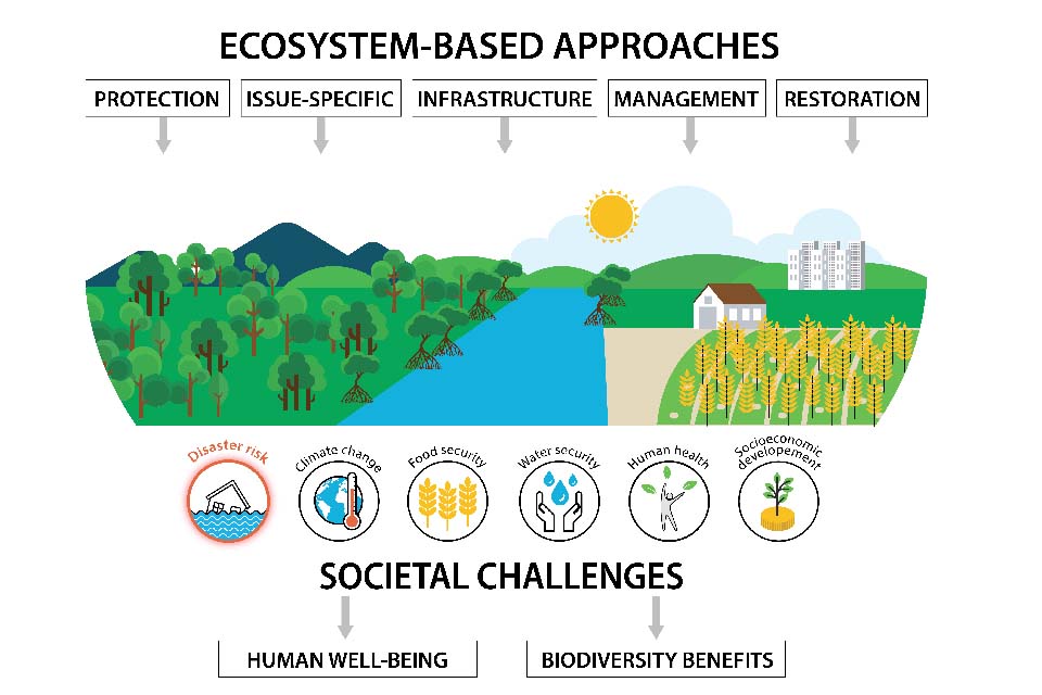 Figure 7: Nature-based Solutions can help address one or more societal challenges, such as disaster risk, while delivering biodiversity benefits (Adapted from: IUCN, 2020)