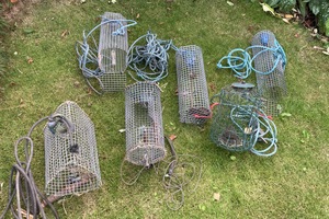 Illegal fish traps