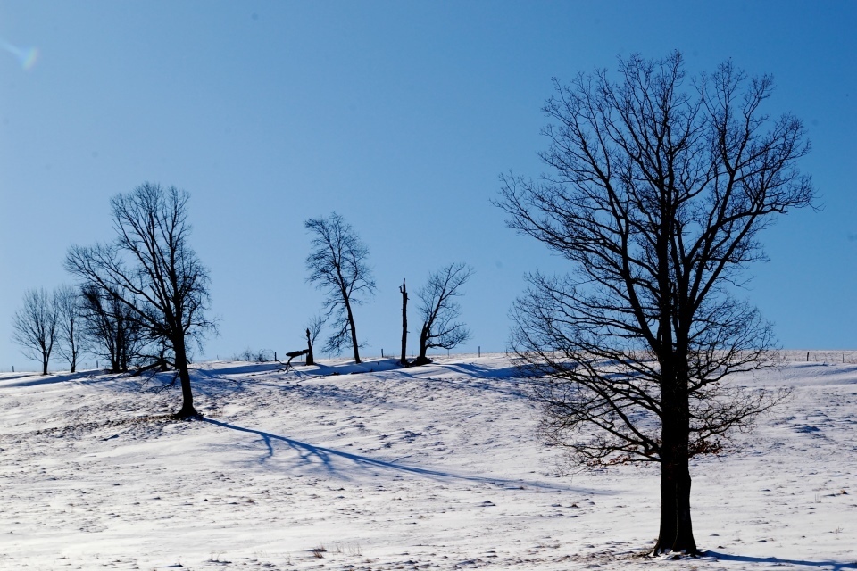 Is England Cold Year Round