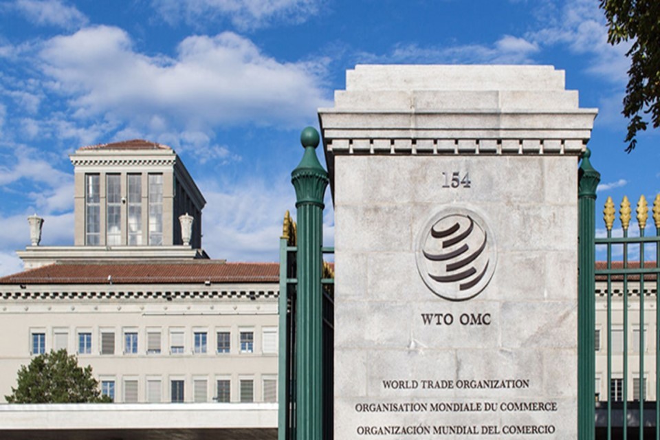 WTO TRIPS Council November 2021: UK statements