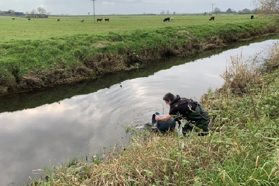 A Christmas stocking gives West Country fish numbers a boost