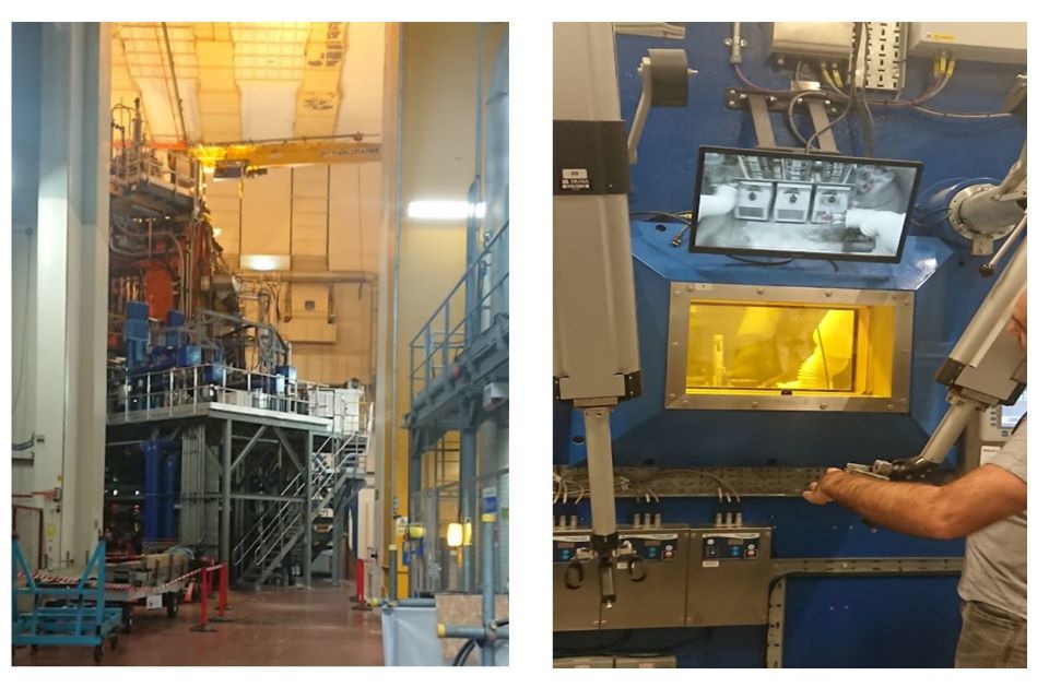 Nuclear fusion and radioactive waste regulation: CoRWM members visit the Culham Centre for Fusion Energy