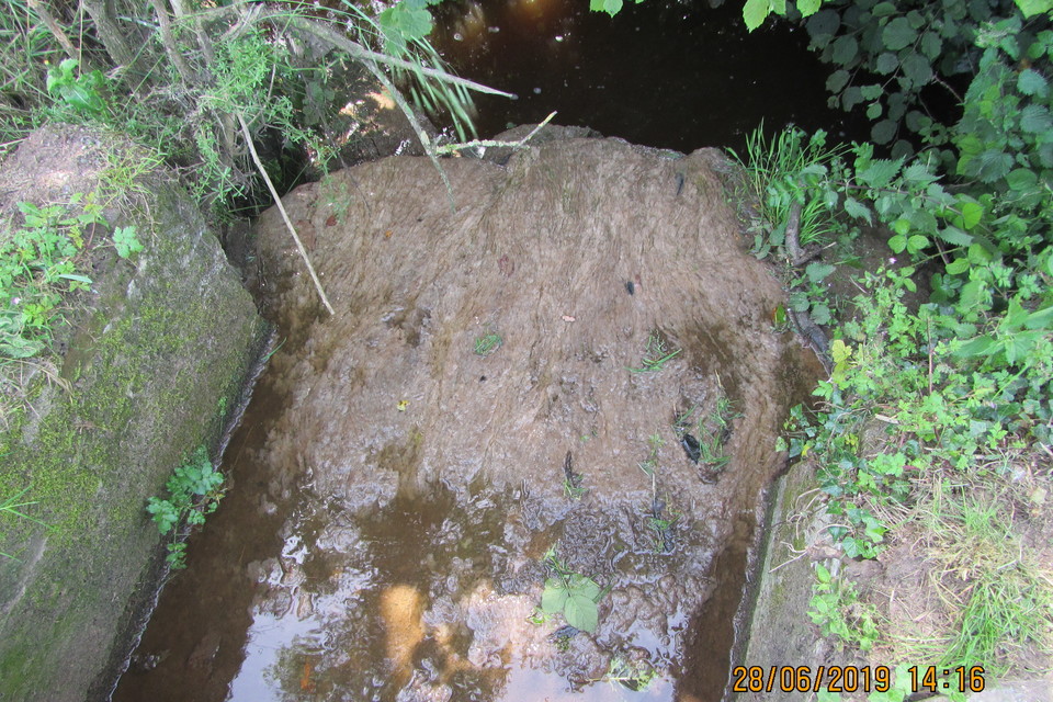 Brown sewage fungus growth in a watercourse