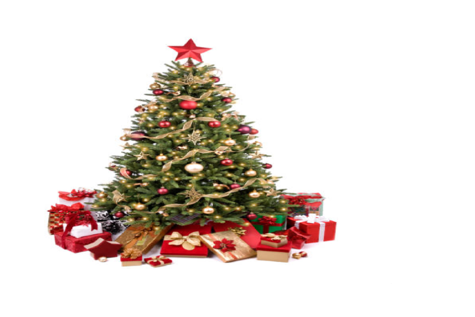 Community Interest Companies Christmas opening hours