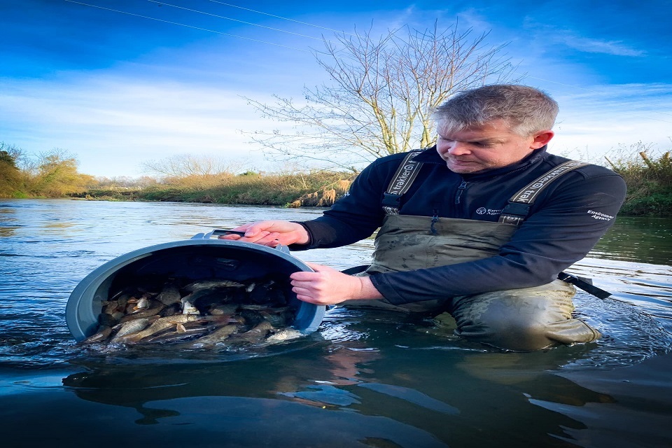 A Christmas stocking for East Anglian rivers