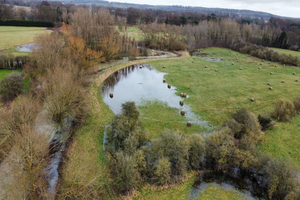 Restored floodplain habitat helps rare/endangered species thrive