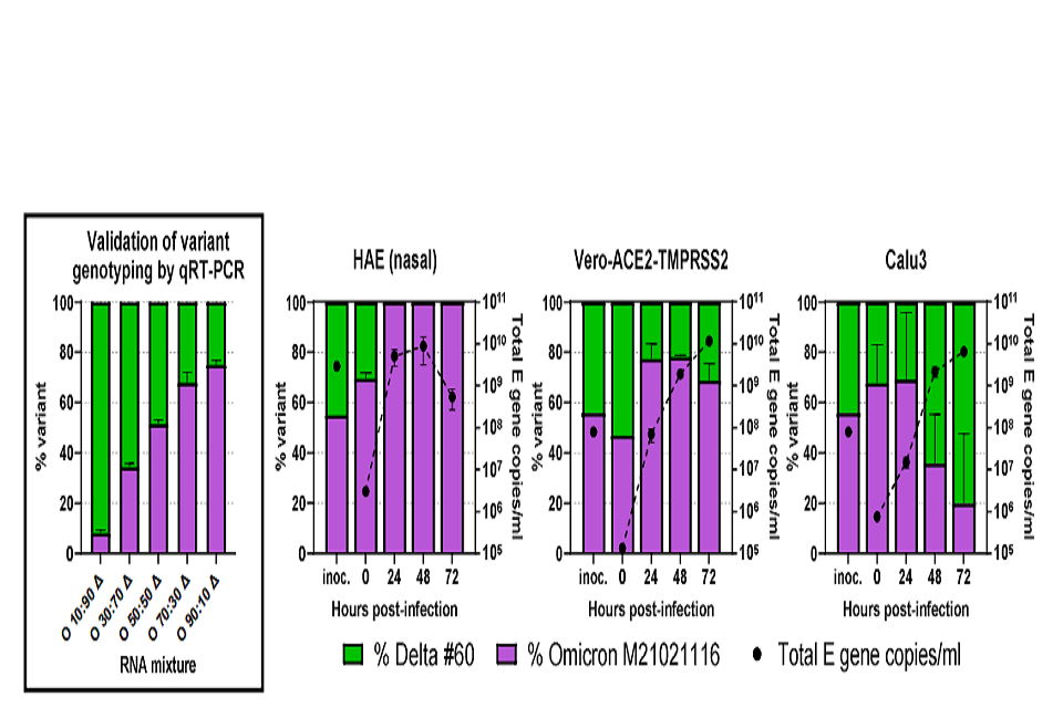  Four graphs; one showing test validation and three showing viral load of Omicron and Delta at time points between 0 and 72 hours after infection when each of the three cell types are infected with both variants simultaneously