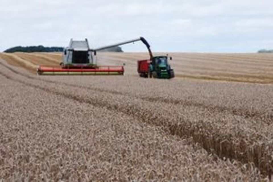 New powers granted to research gene editing in plants