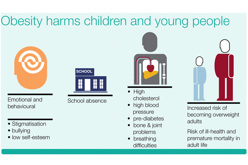 Obesity harms young people and children infographic