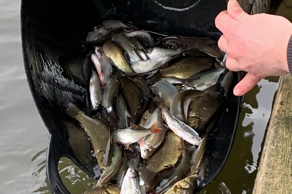 South West fisheries get a New Year boost