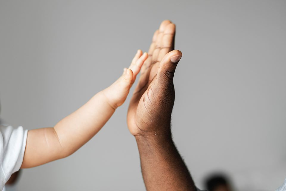 Bradford children's services to be placed into Trust