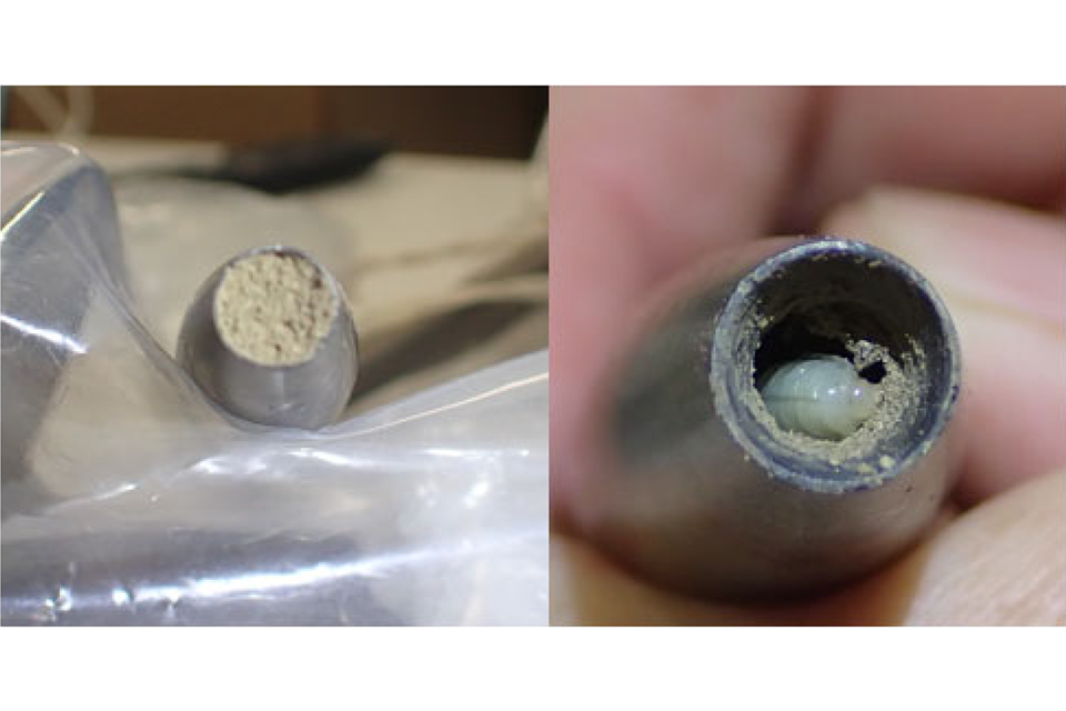 AAIB Report: Various aircraft, Blockage of pitot probes by insects, Heathrow Airport