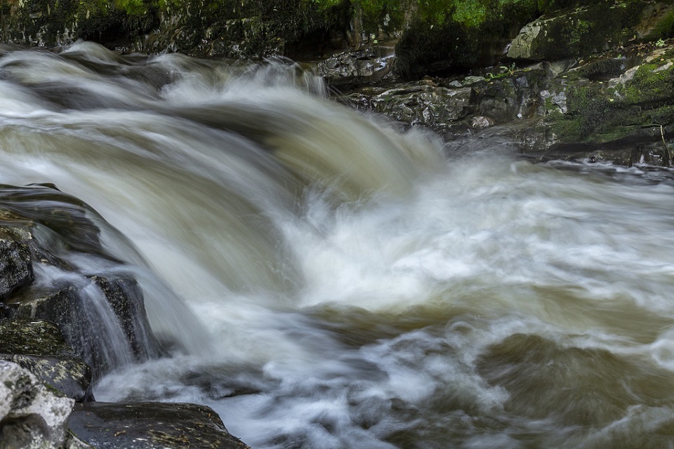 Three new  £11 million Natural England LIFE projects launched