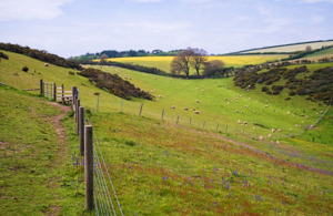 Attendees for the first UK Agriculture Partnership meeting include key voices from across the UK.