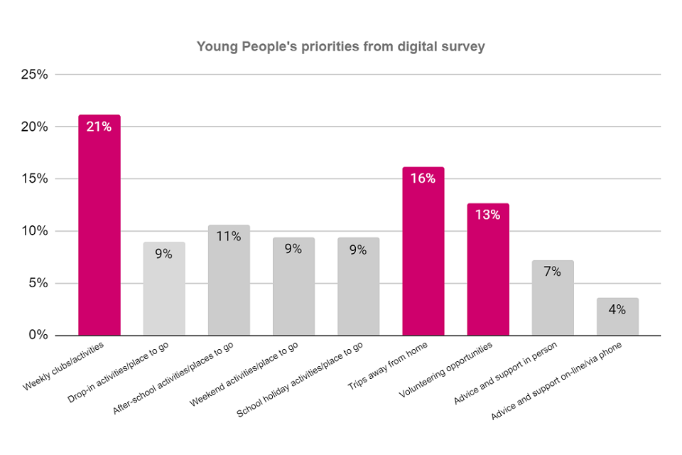 Image 2 - Graph of Young people’s priorities from the digital survey. 