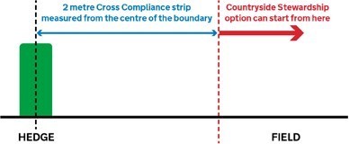 Where a fence is less than 2m from the centre of the hedge, the Countryside Stewardship option can still only start at 2m from the centre of the hedge (there will be a gap between the fence and the Countryside Stewardship option)