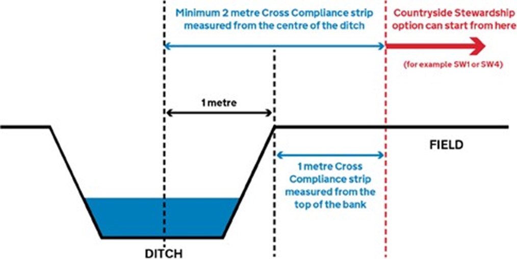 In this example the cross compliance strip would be 2m wide measured from the centre of the ditch.
