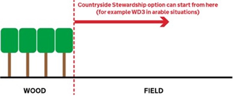 In Arable and Permanent Grassland situations Countryside Stewardship option can start immediately next to the wood. WD3 is Woodland edges on arable land 6m.