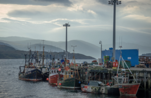 Fishing vessels in a harbour.