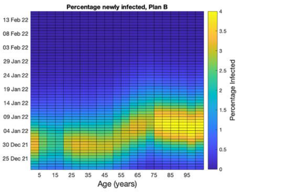 Two heatmaps showing a higher proportion of non-school age groups under 50 are newly infected in December in the Warwick model. High proportions of older age groups are infected in the following 2 weeks under Plan B measures, but not under Step 2.