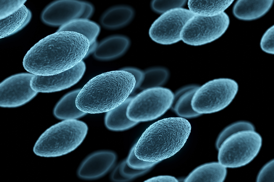 Alternative use for novel antibiotic to treat plague and melioidosis