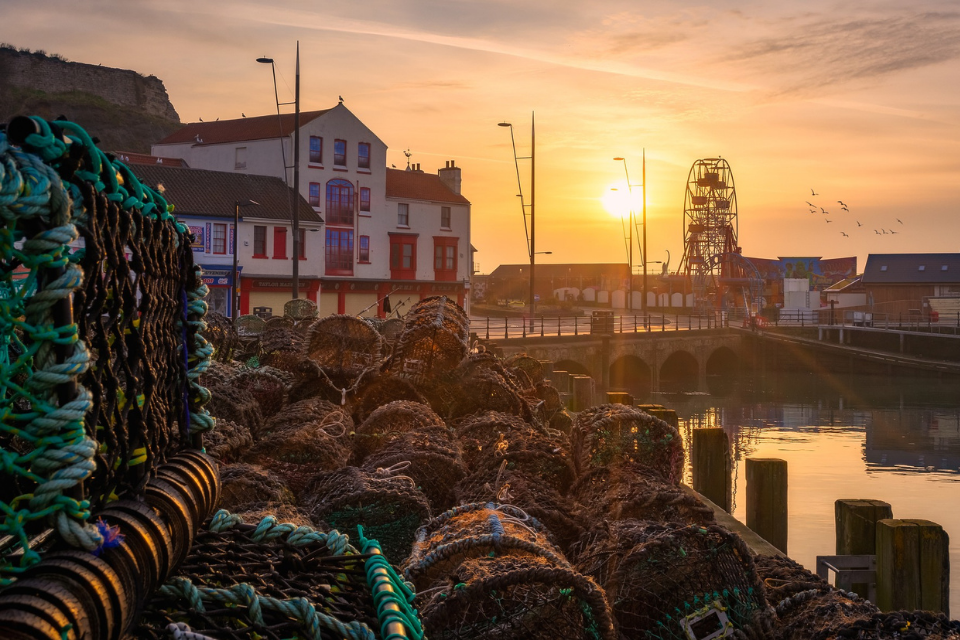 £1.4m delivered to projects supporting sustainable fishing and fisheries science across the UK