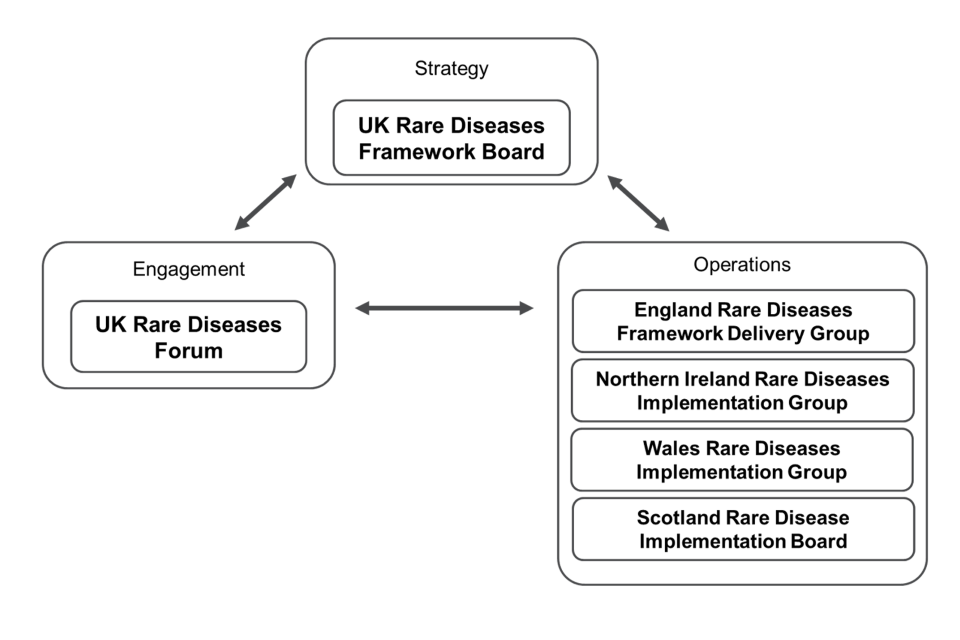 UK Rare Diseases Framework governance structures. Delivery/implementation groups develop nation-specific action plans. UK Rare Diseases Framework Board provides strategic oversight and UK Rare Diseases Forum engages with the community.