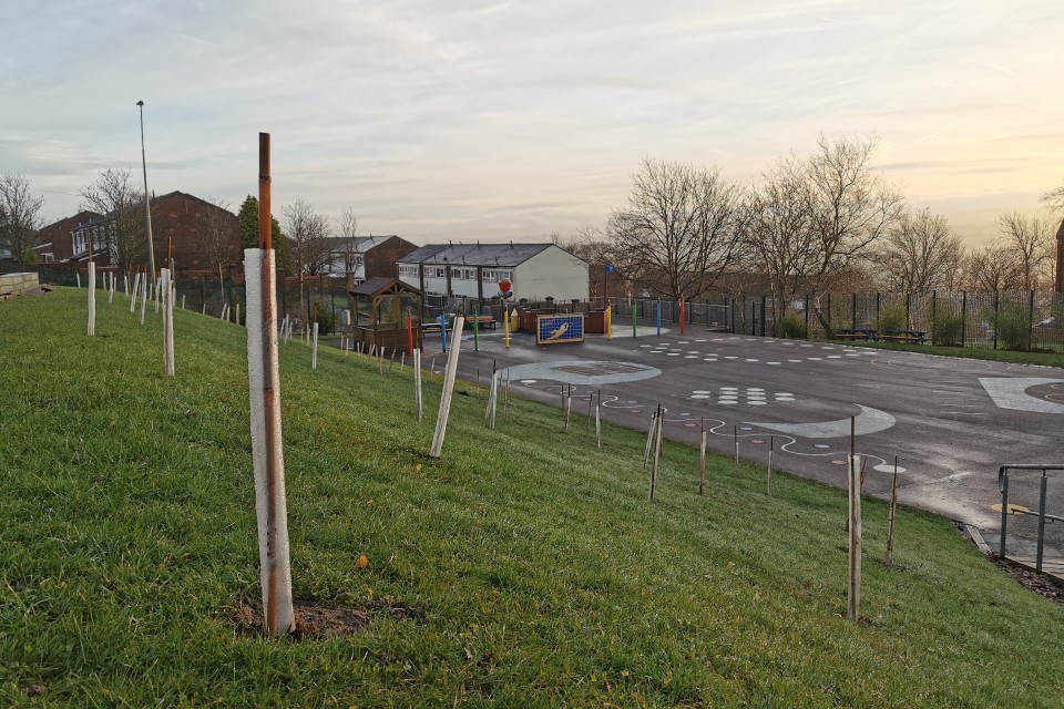 Over half a million trees set to be planted in our towns, cities and countryside