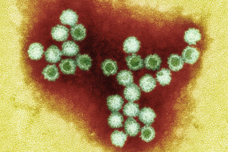 Norovirus outbreaks increasing in England