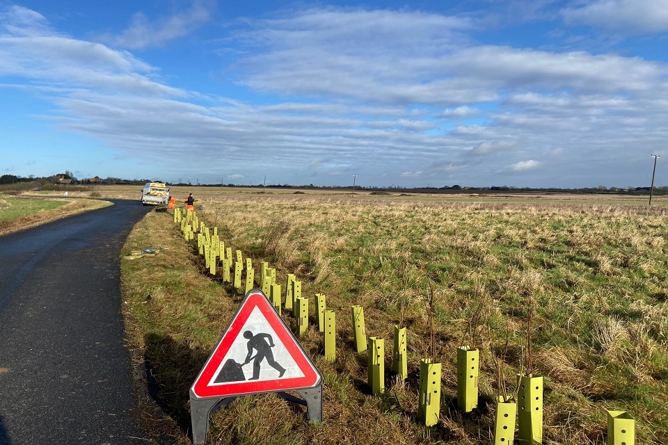 More than 7,000 shrubs planted to combat climate change in Essex