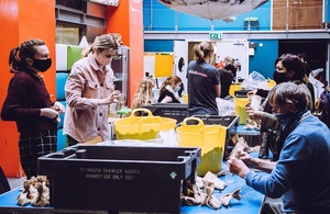 Five people putting seagrass seeds in small bags and then into a crate