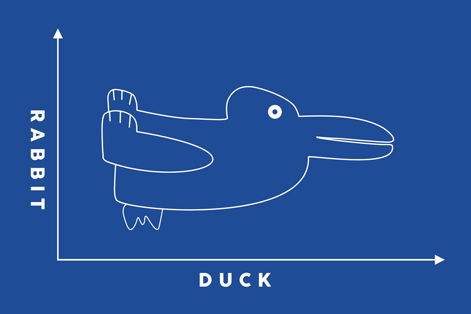 Drawing that can look like a rabbit or a duck, shown within a line chart with rabbit on one axis label and duck on the other.