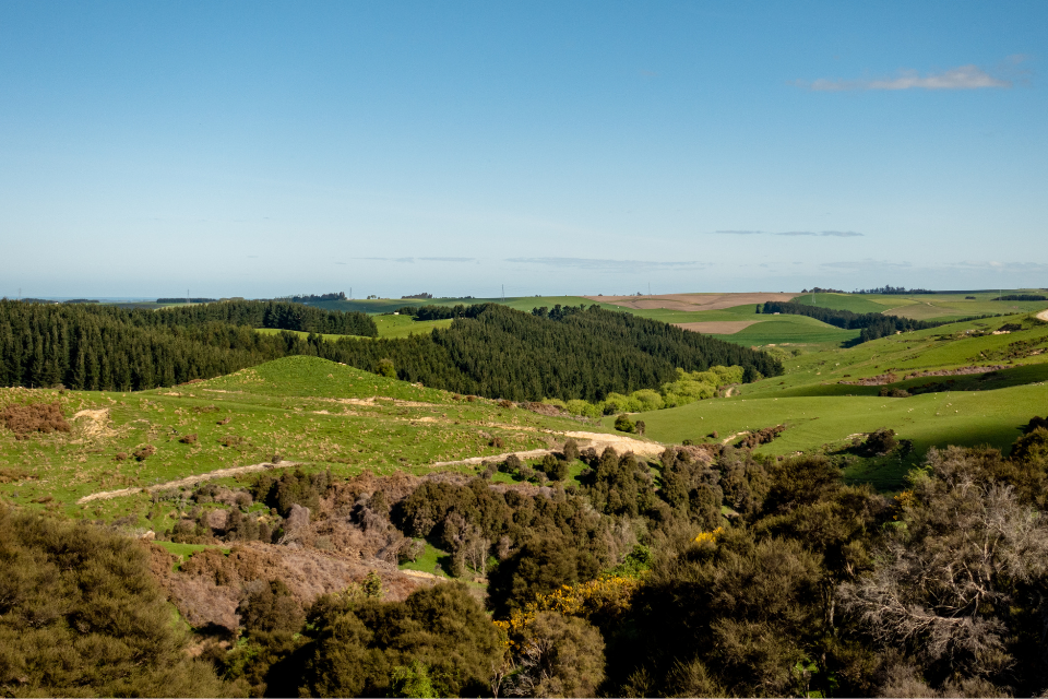 Delivering on the Environment Act: new targets announced and ambitious plans for nature recovery