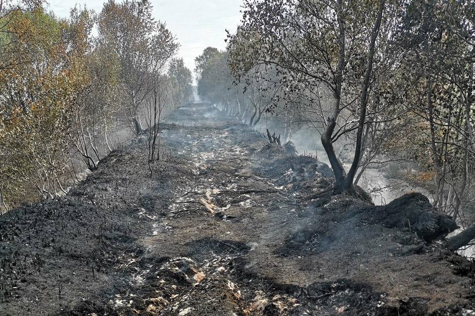 Public encouraged to take action to prevent wildfires