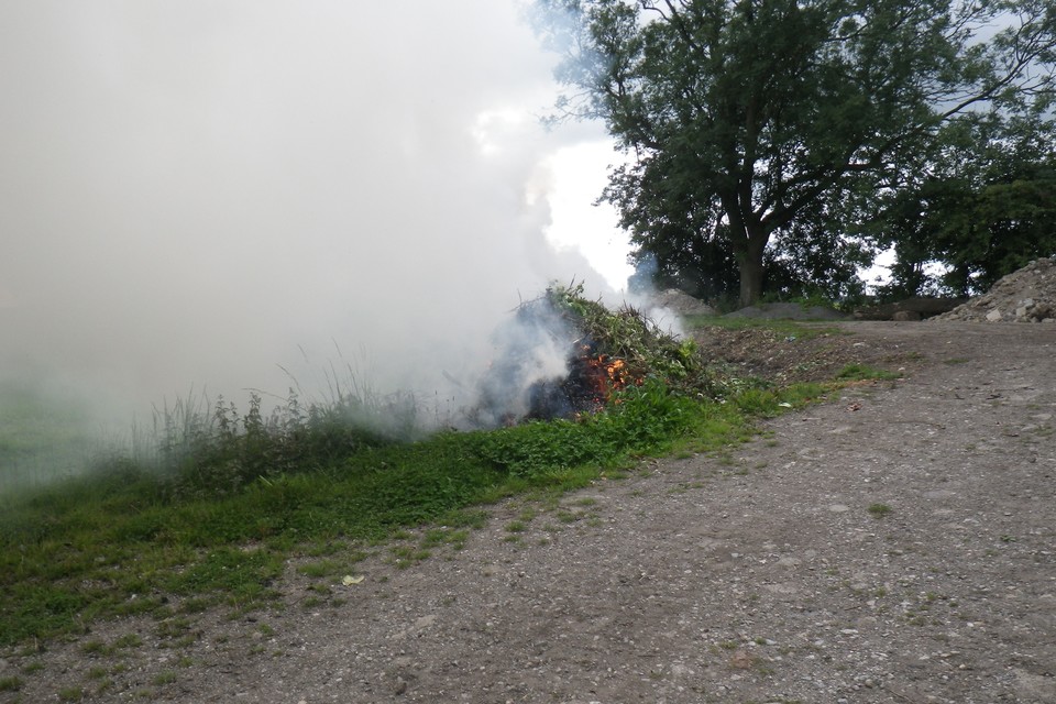 White smoke billwoing off a bonfire on farmland