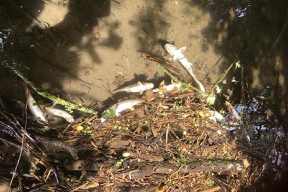 Farming company fined for polluting Somerset watercourse
