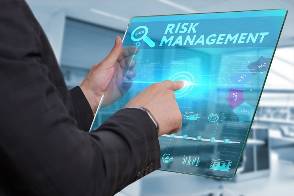 Should the UK have a Chief Risk Officer?