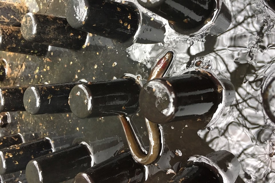 Improving fish and eel passage on the Bristol Frome