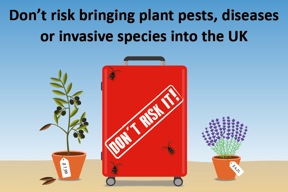 Public urged not to bring plant pests and disease into the UK