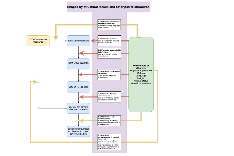 Flow chart showing how factors shaped by structural racism (shaded in purple box) feed into COVID-19 consequences. These include: SARS-CoV-2 exposure and infection; COVID-19 (severe) disease and mortality; and social COVID-19 consequences. 